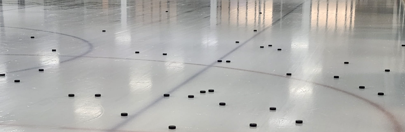 BPRO Hockey Private Lessons